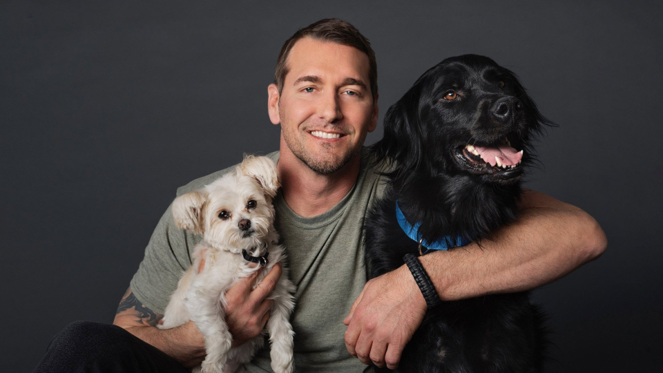 Dog Training Online Course by Brandon McMillan