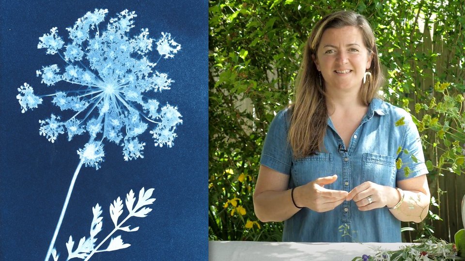 Intro to Cyanotypes Online Course by Sarah Rafferty